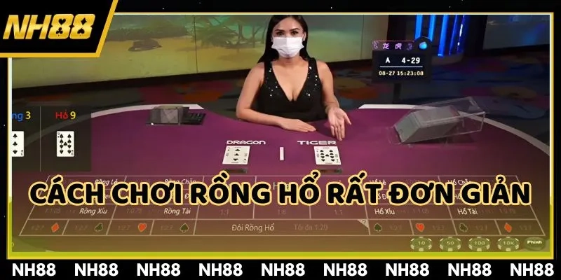 Chỉ cần đặt cược vào các ô trên bàn