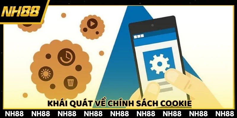 Chính sách cookie với dữ liệu tổng quan nhất